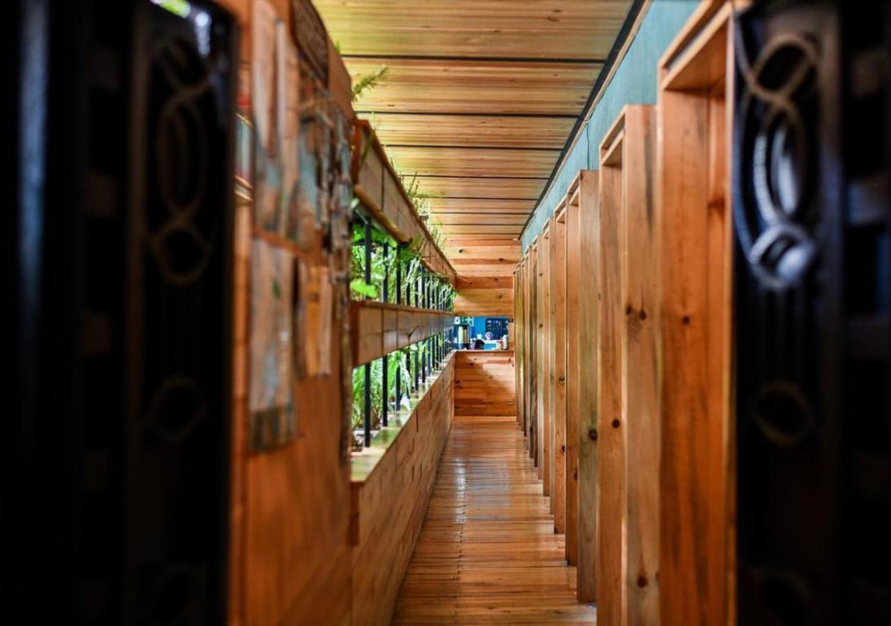 Mexico Hostel Luaran gambar